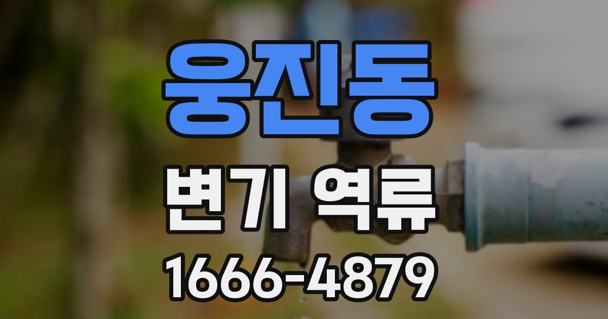 웅진동 변기 역류
