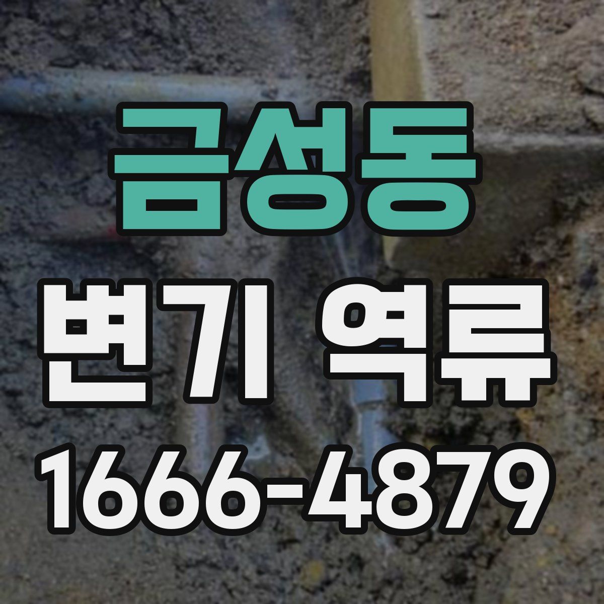 금성동 변기 역류