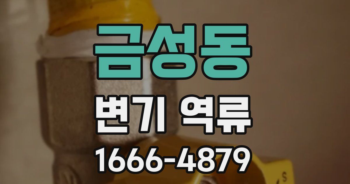 금성동 변기 역류