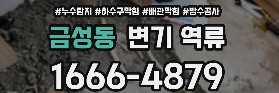 금성동 변기 역류
