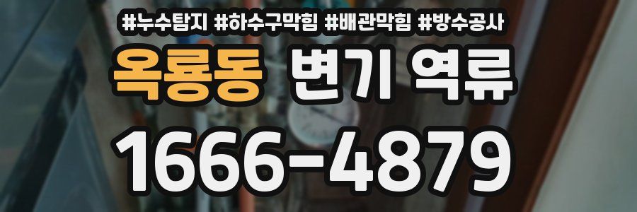 옥룡동 변기 역류