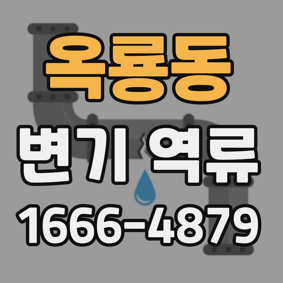 옥룡동 변기 역류