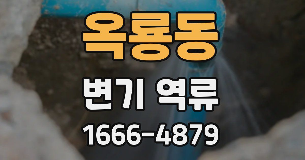 옥룡동 변기 역류