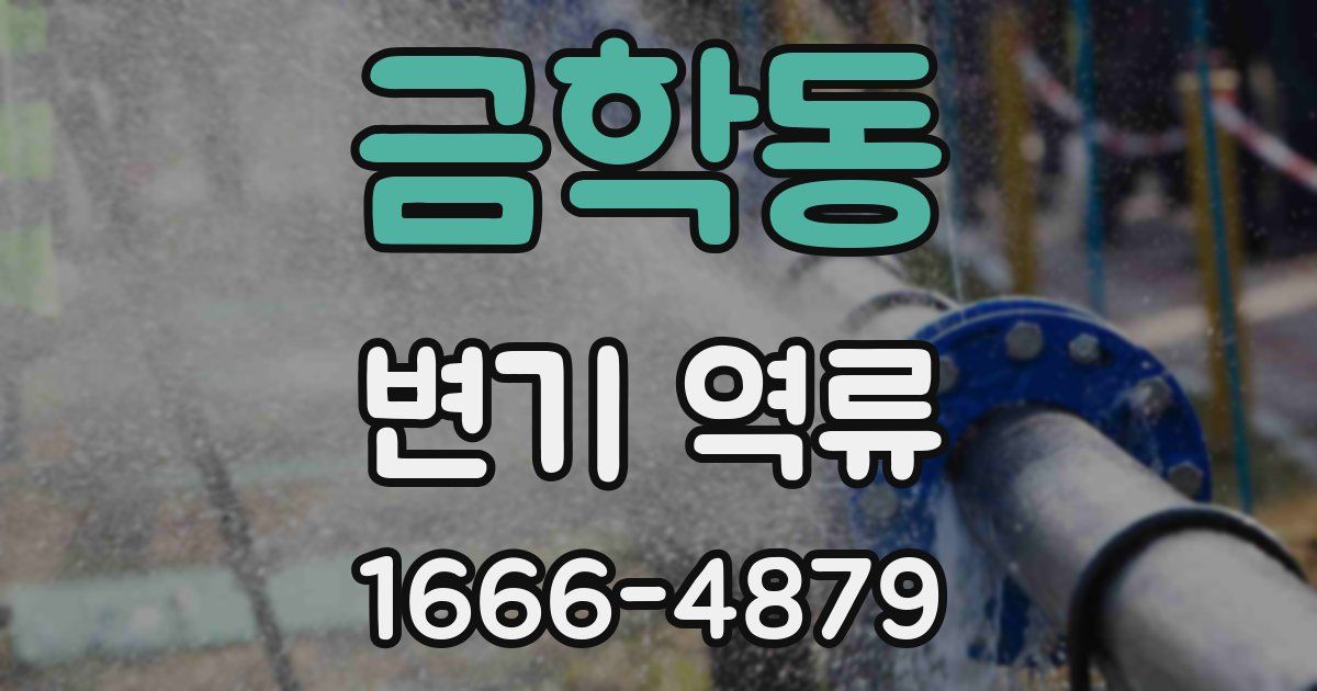 금학동 변기 역류