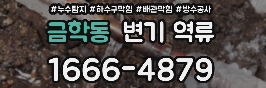 금학동 변기 역류