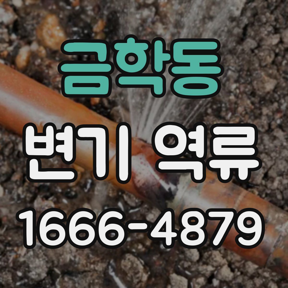 금학동 변기 역류