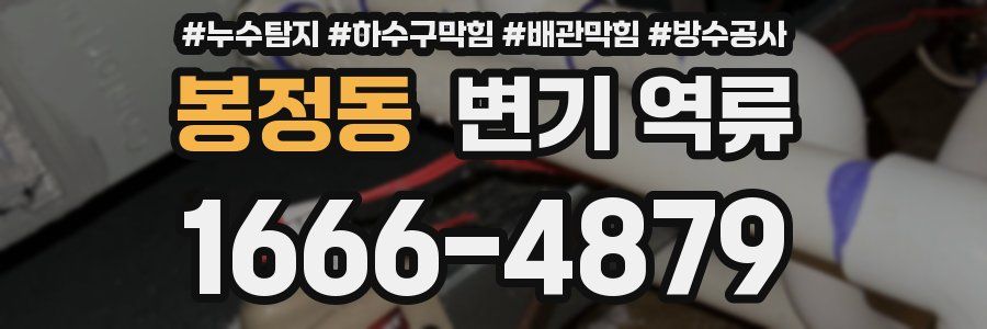 봉정동 변기 역류