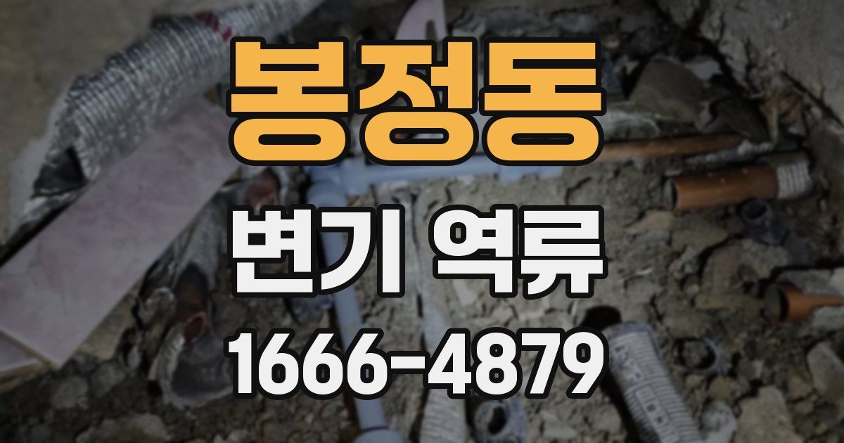 봉정동 변기 역류