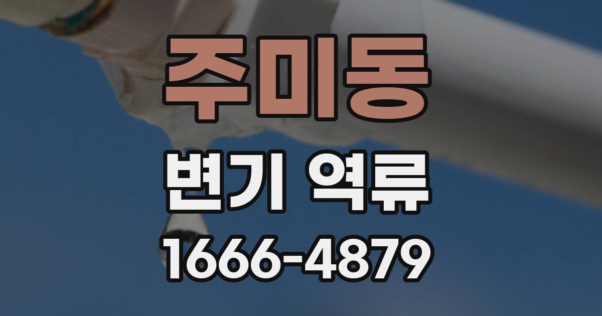 주미동 변기 역류