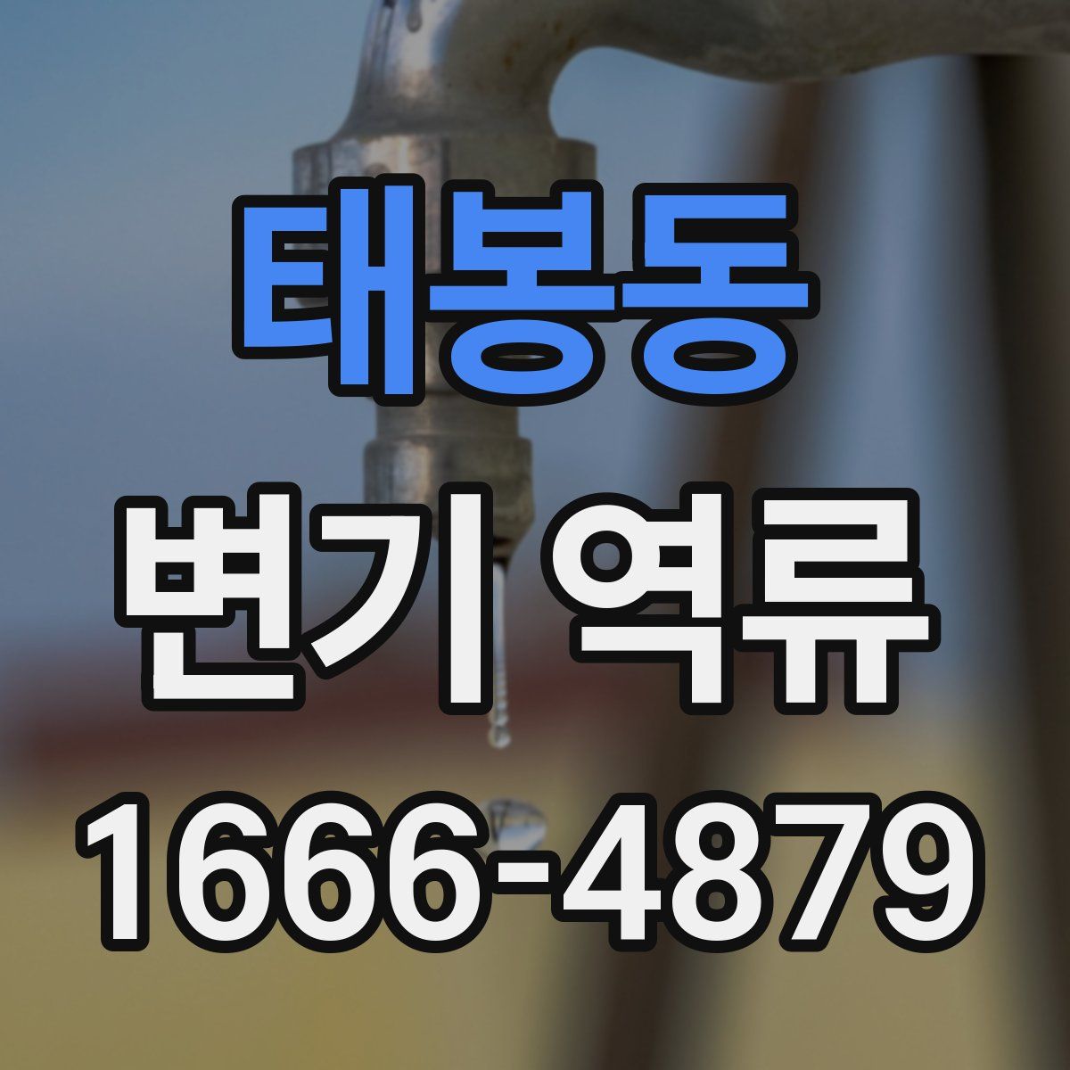 태봉동 변기 역류