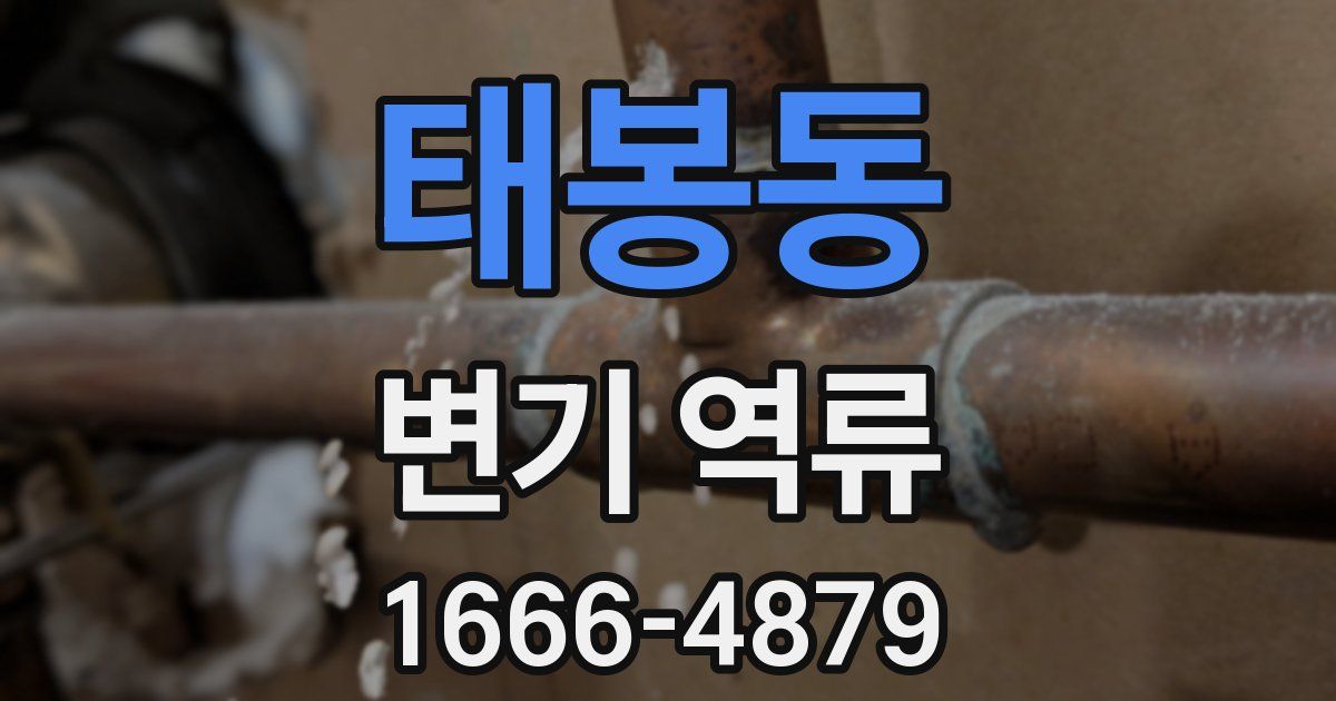 태봉동 변기 역류