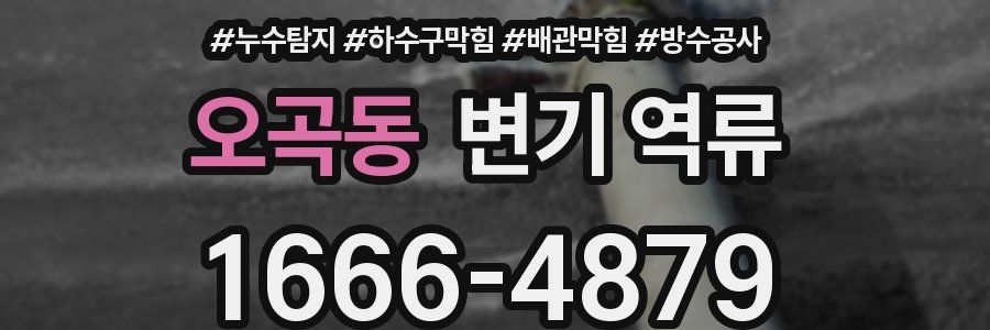 오곡동 변기 역류