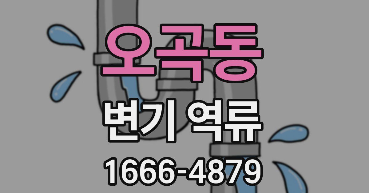 오곡동 변기 역류