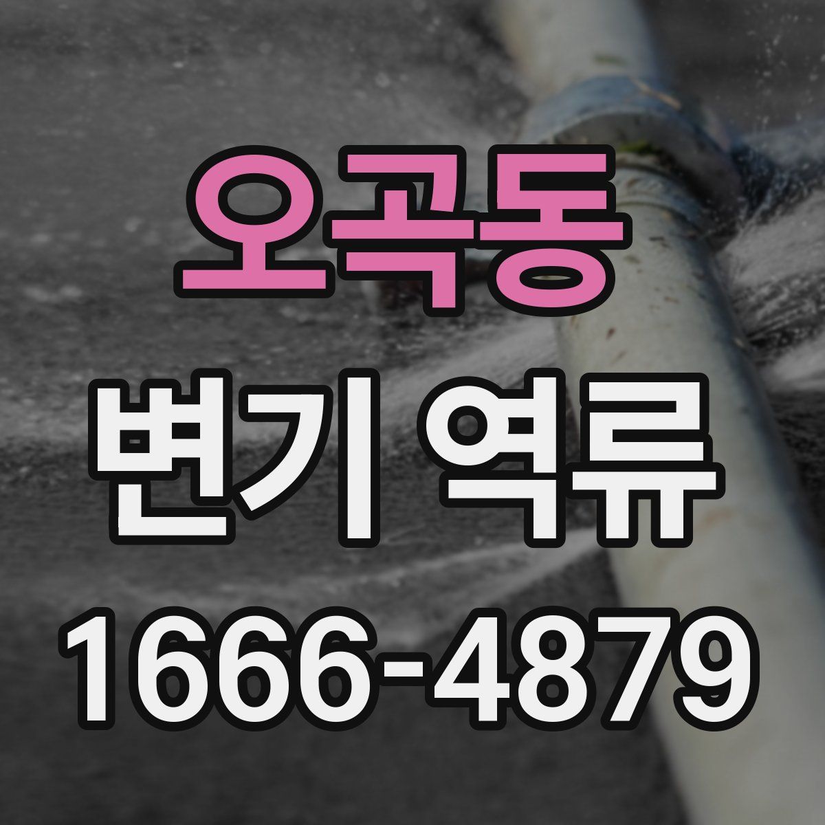 오곡동 변기 역류