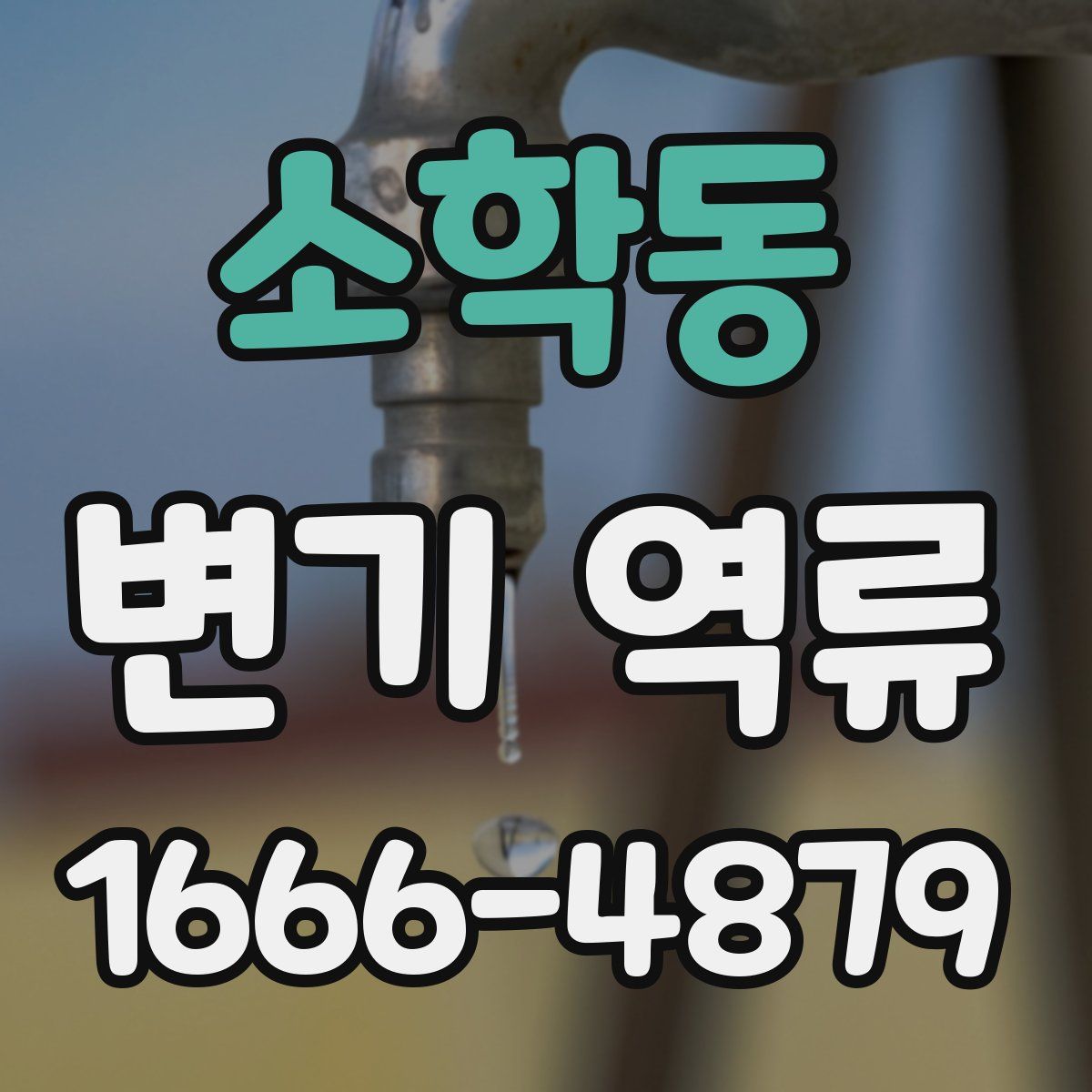 소학동 변기 역류