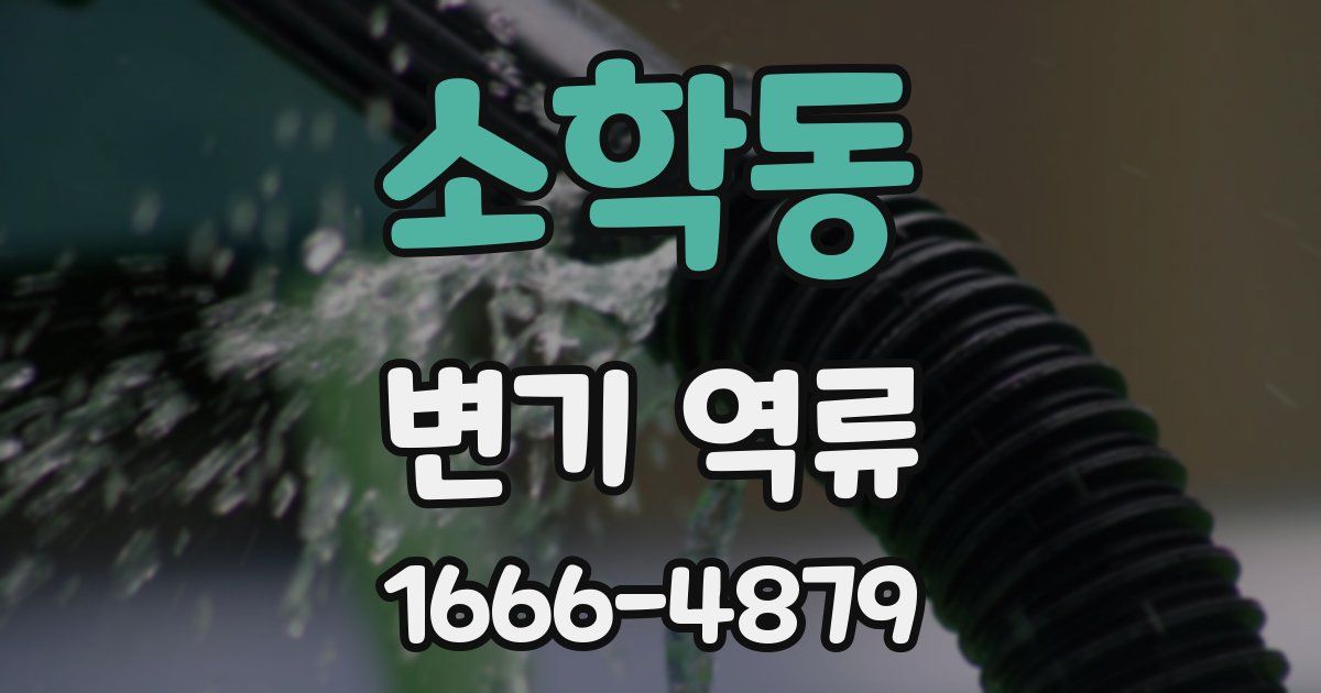 소학동 변기 역류