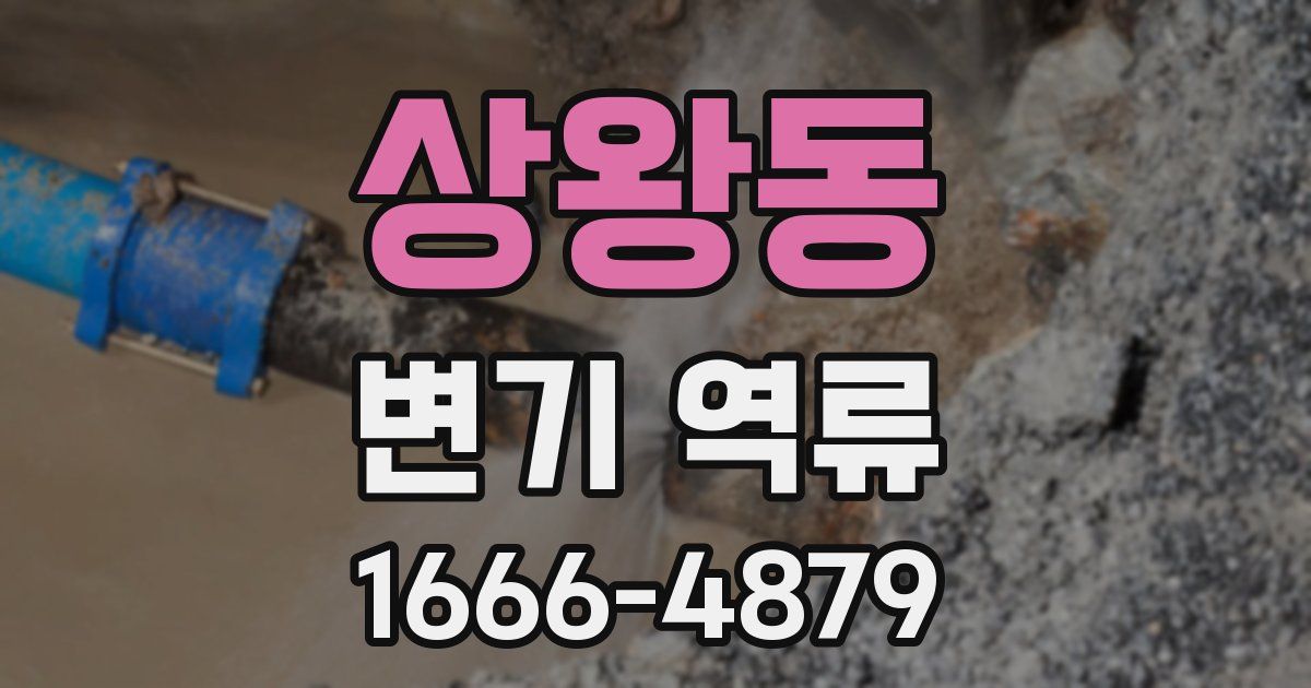 상왕동 변기 역류