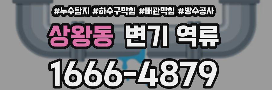 상왕동 변기 역류