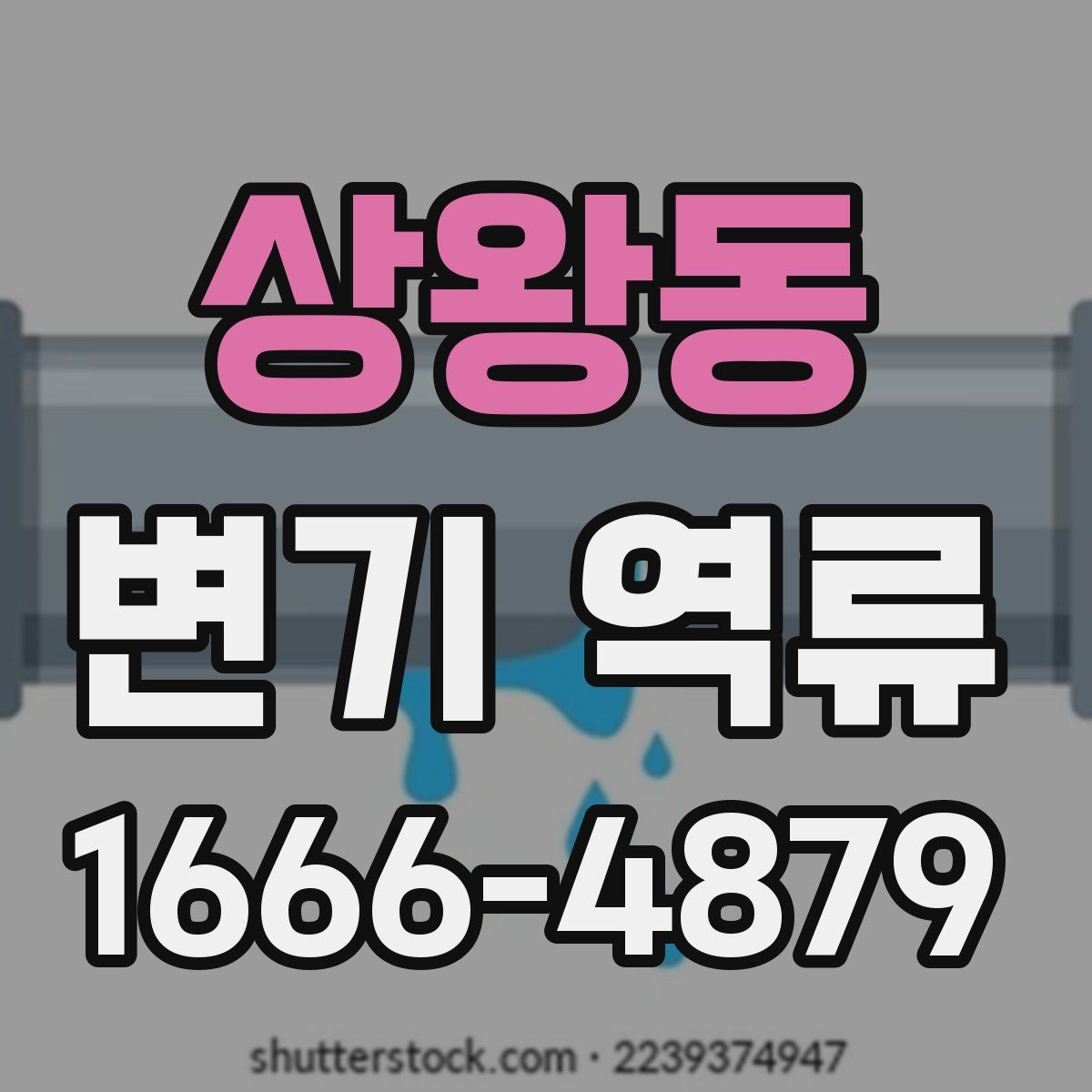 상왕동 변기 역류