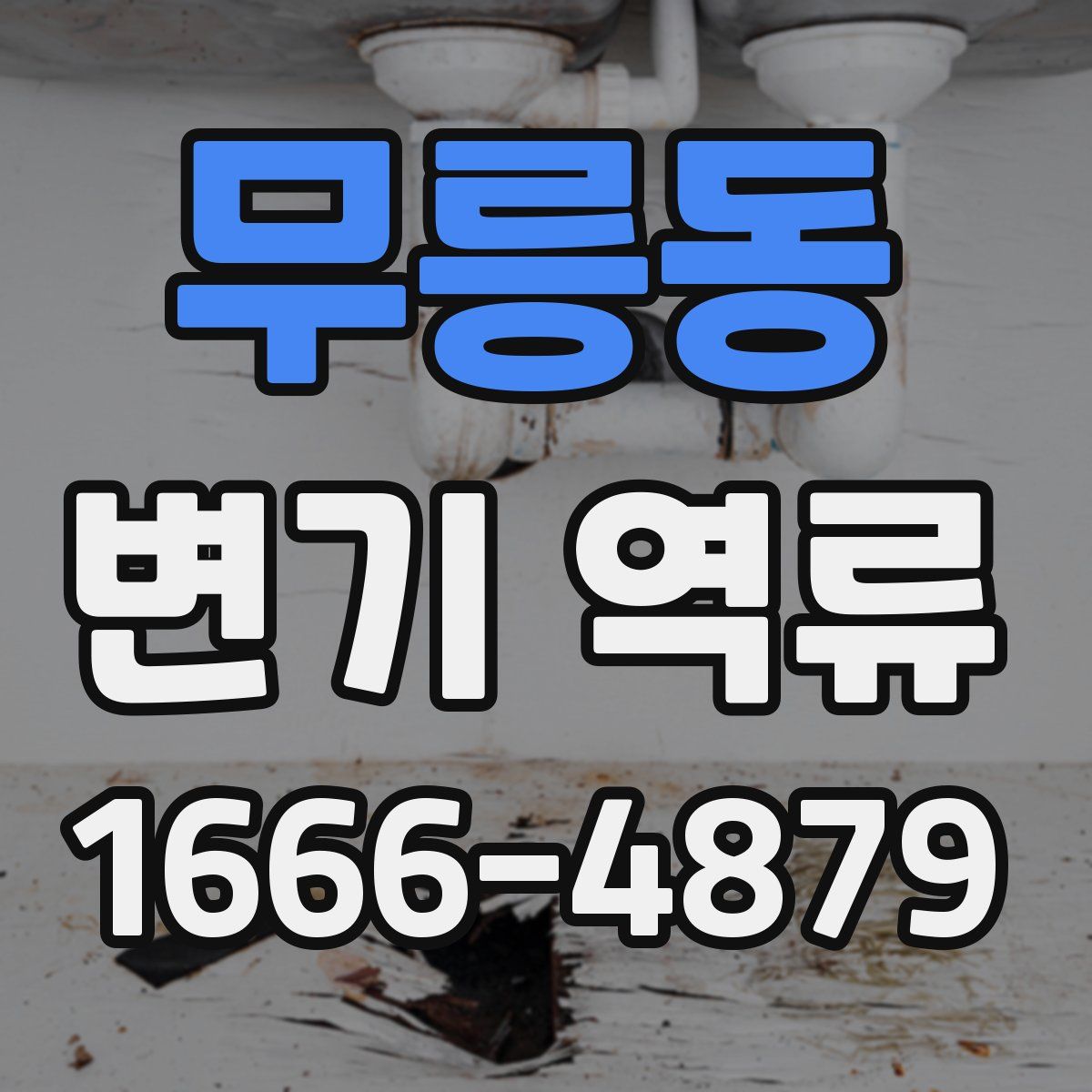 무릉동 변기 역류