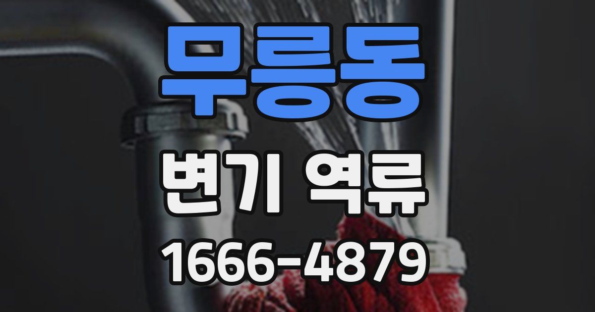 무릉동 변기 역류