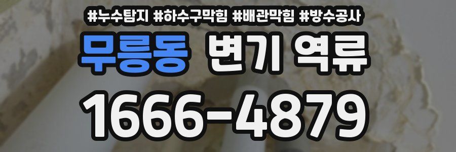 무릉동 변기 역류