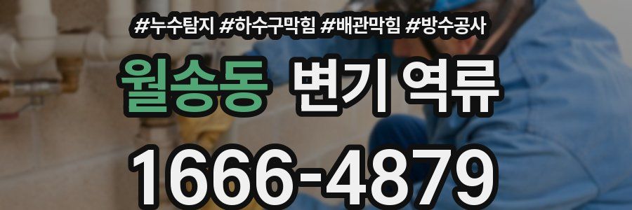 월송동 변기 역류