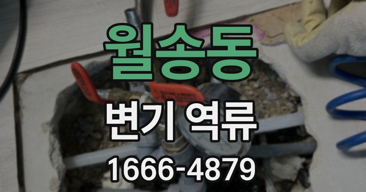 월송동 변기 역류