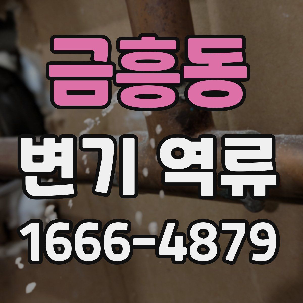 금흥동 변기 역류
