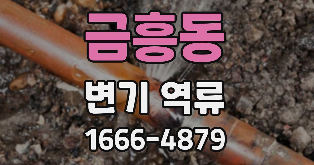금흥동 변기 역류