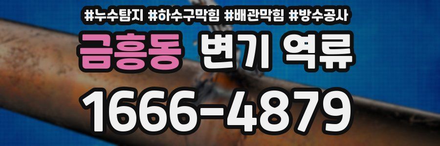 금흥동 변기 역류