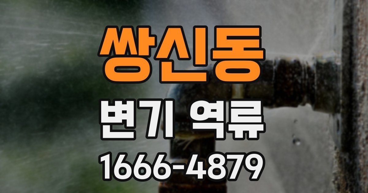 쌍신동 변기 역류