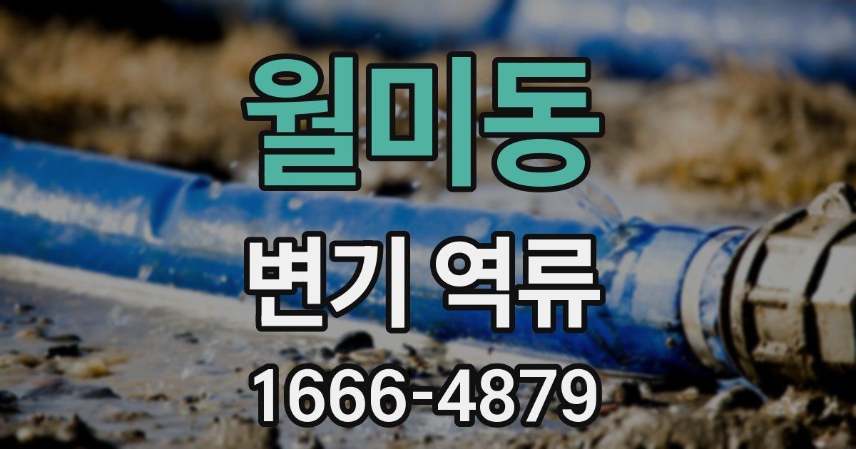 월미동 변기 역류