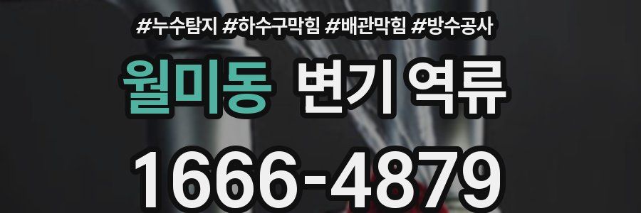 월미동 변기 역류