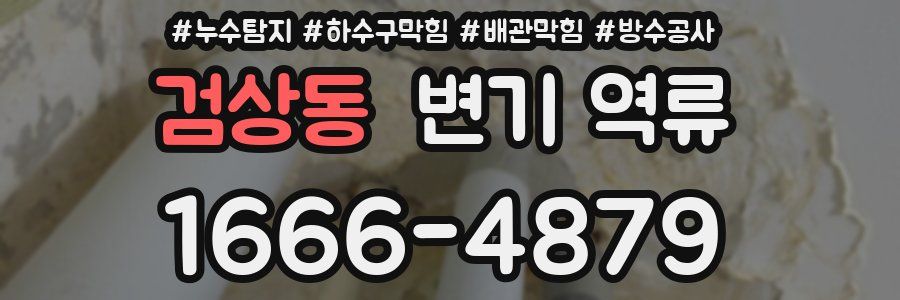 검상동 변기 역류