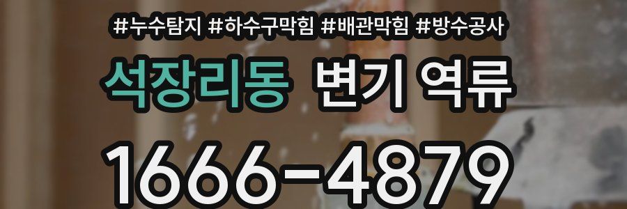 석장리동 변기 역류