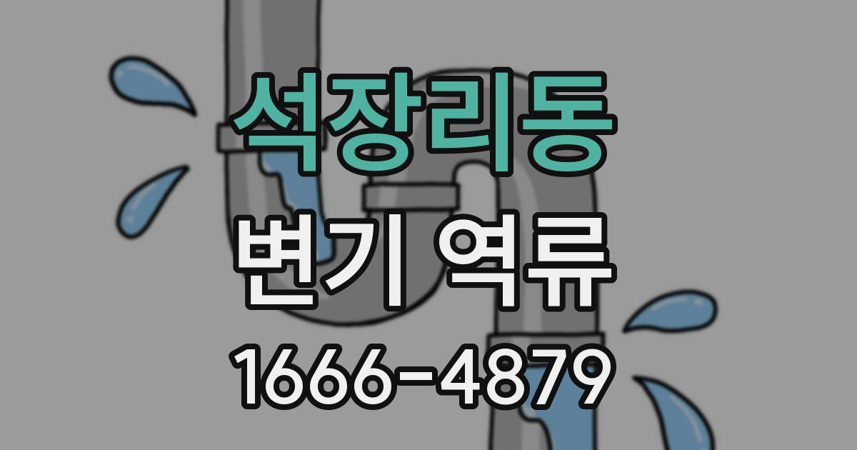 석장리동 변기 역류