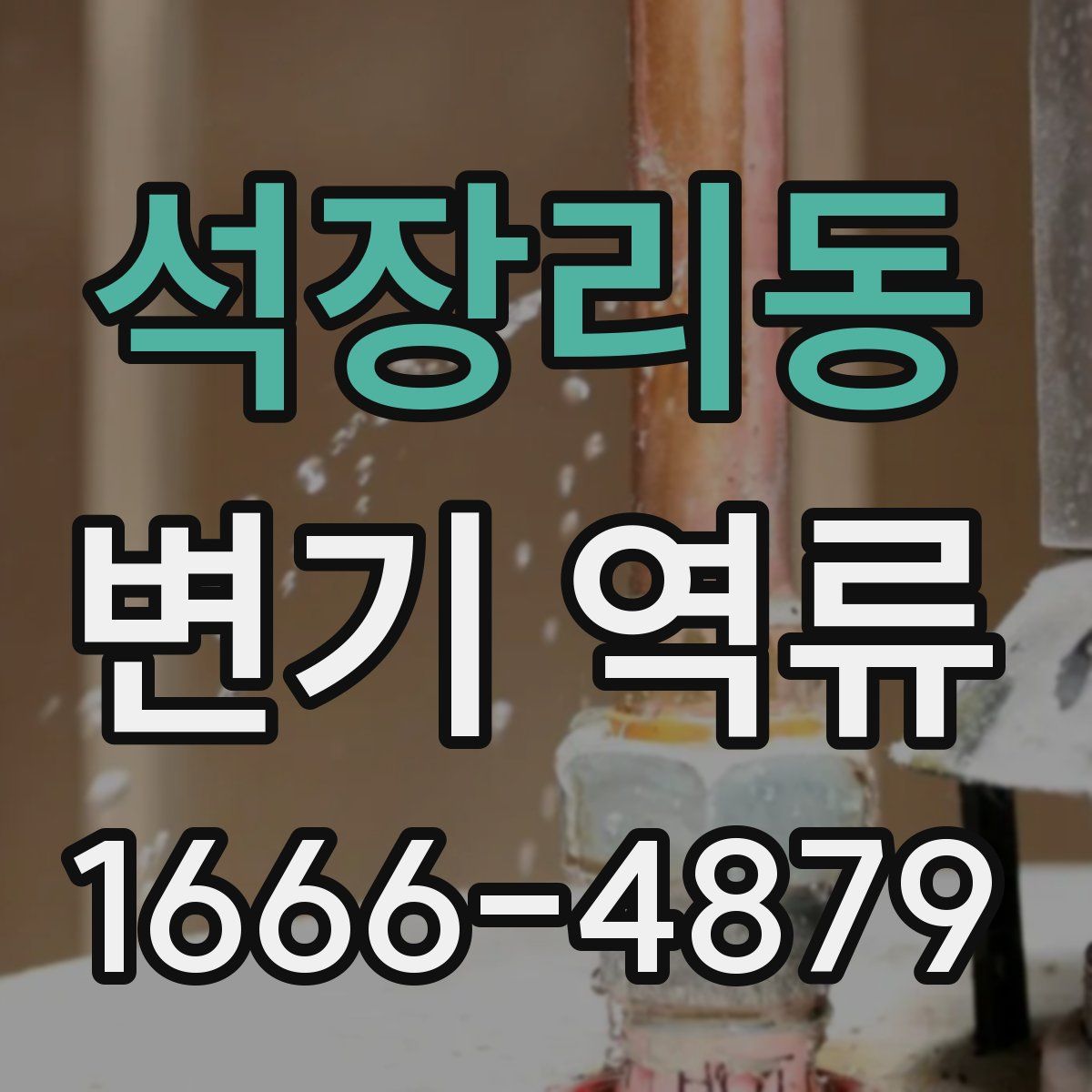 석장리동 변기 역류