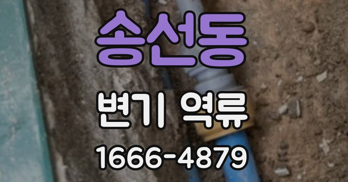 송선동 변기 역류