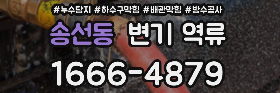 송선동 변기 역류