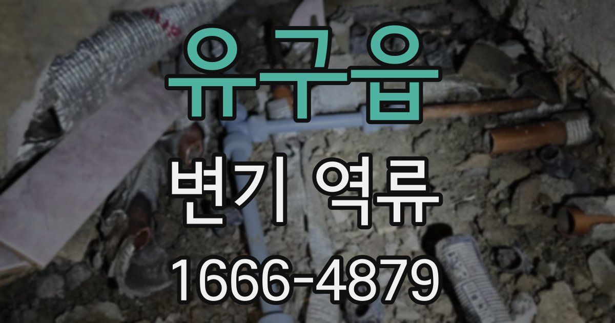 유구읍 변기 역류