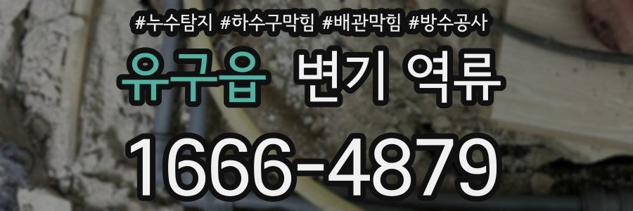 유구읍 변기 역류