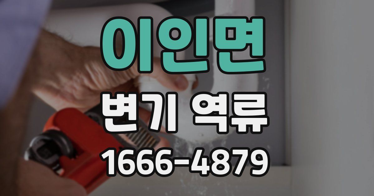 이인면 변기 역류
