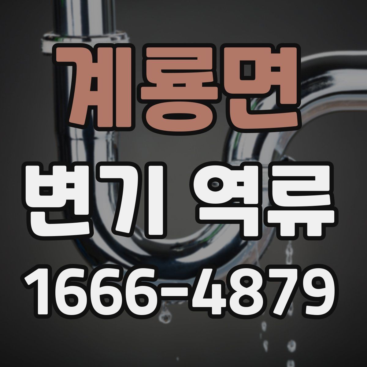 계룡면 변기 역류 상황에서 전문가가 보는 부분