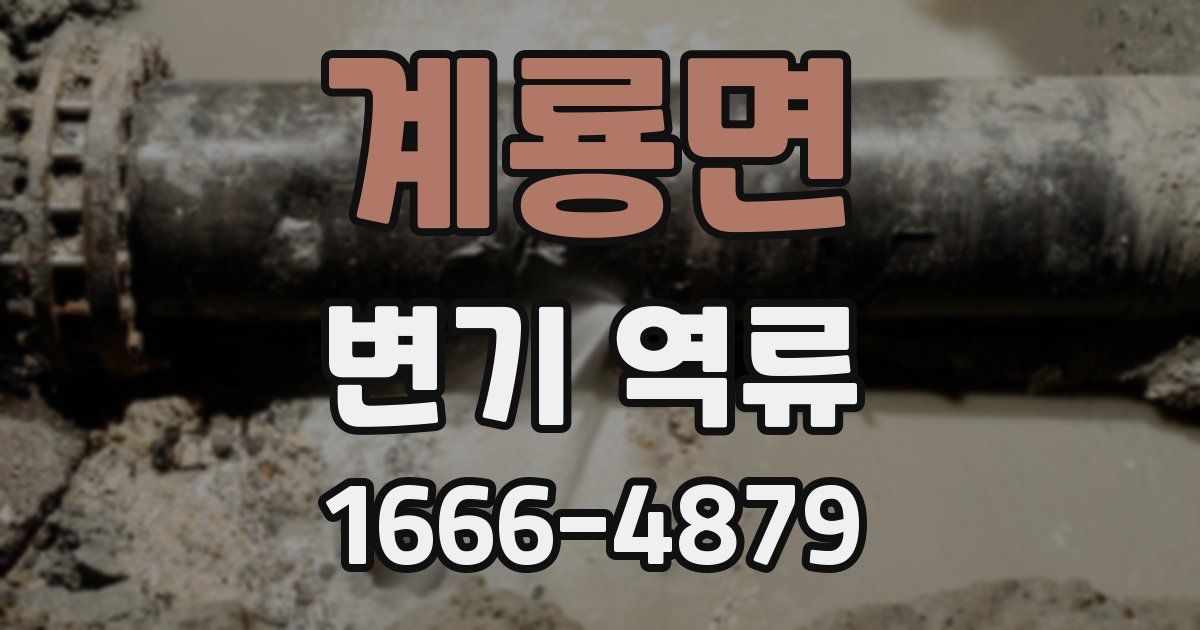 계룡면 변기 역류
