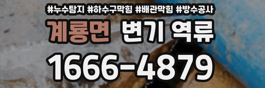 계룡면 변기 역류