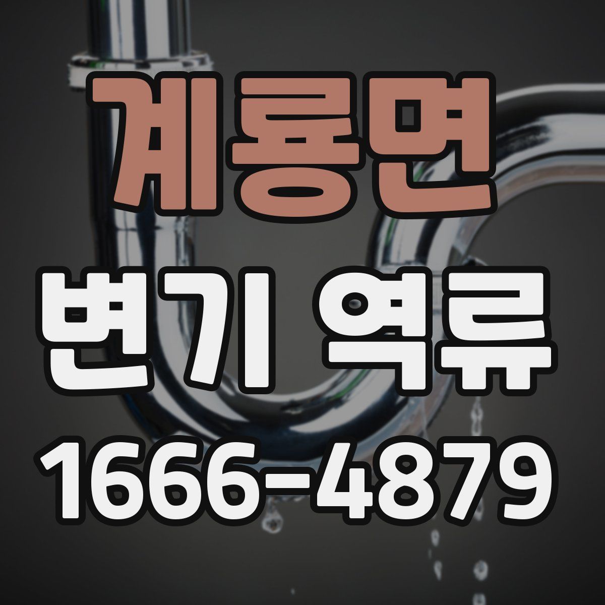 계룡면 변기 역류