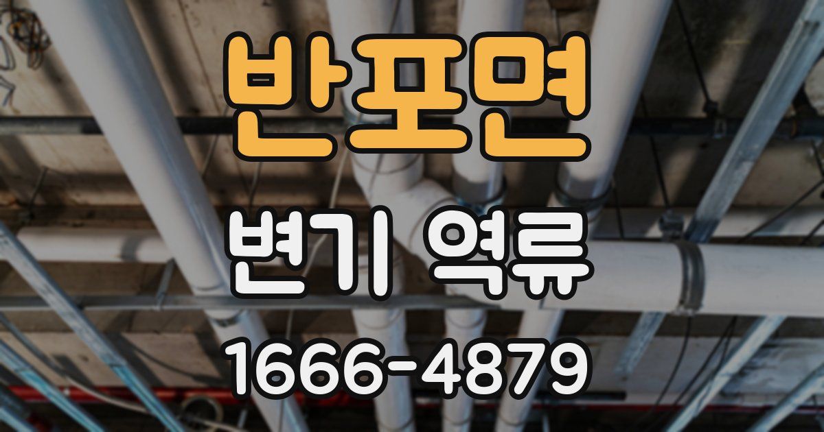 반포면 변기 역류