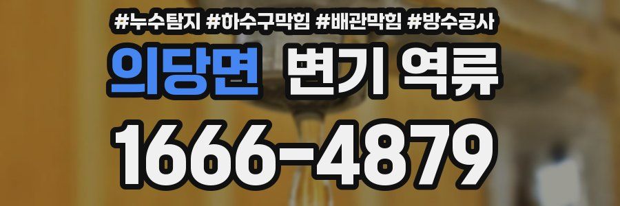 의당면 변기 역류