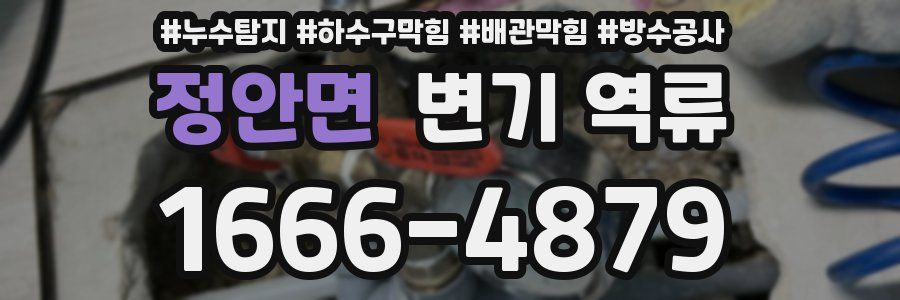 정안면 변기 역류